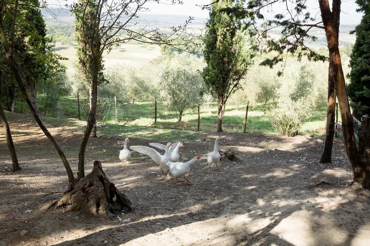 Fattoria Sant'Andrea - Farm Stay San Gimignano