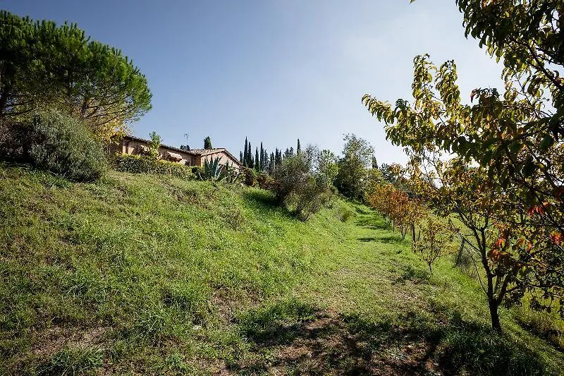 Fattoria Sant'Andrea - Farm Stay سان جيمينيانو 0*,