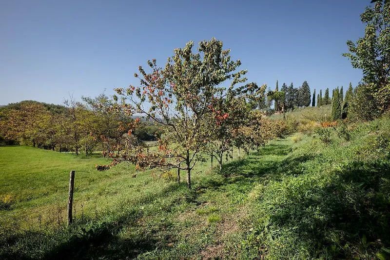 Fattoria Sant'Andrea - Farm Stay سان جيمينيانو